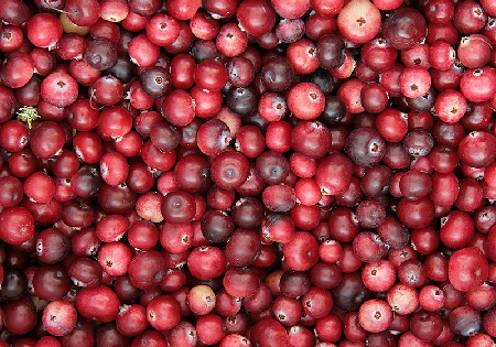 Cranberries