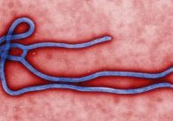 Ebola