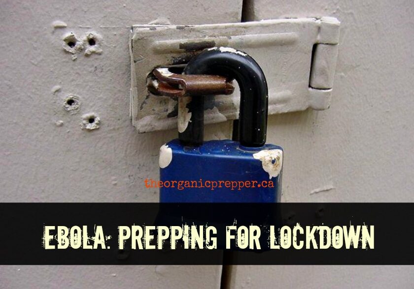 Getting ready for lockdown in the event of an Ebola pandemic