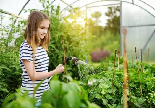 Ready Nutrition - Greenhouse