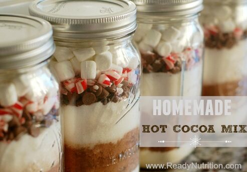 This creamy hot cocoa mix will warm you up on those cold, blustery days. #ReadyNutrition