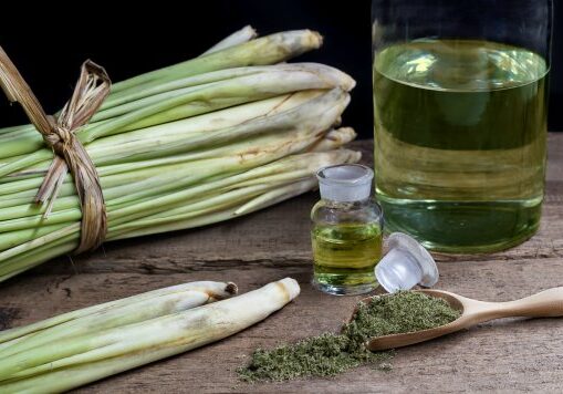 Lemongrass is a wonderful herb! It has many medicinal and aromatic properties and can be used in a variety of ways.  It is often considered a must for home medicinal herb gardens, and it's easy to see why that is!