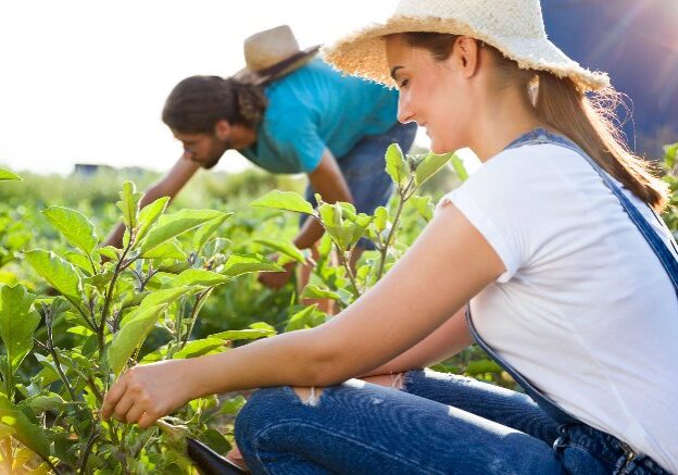 How would you like to live in a neighborhood that has a working farm, ample green space, community gardens, edible landscaping, and rows of fruit trees? #ReadyNutrition