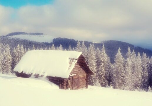 There are many potential dangers associated with winter weather, but there's one you might not have given much thought to snow and ice on your home's roof. Here's how to assess how much snow your roof can handle, how to determine if you need to remove snow, how to remove it safely, and the unique dangers that thawing ice and snow pose. #ReadyNutrition #WinterSafety