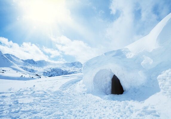 Wilderness survival in the bitter cold is not for the faint of heart. The survival story of two women who lost in the Sierra Nevada mountains made national news recently. Officials are claiming they survived subzero temperatures by keeping their wits and doing the one thing that saved their lives. #ReadyNutrition