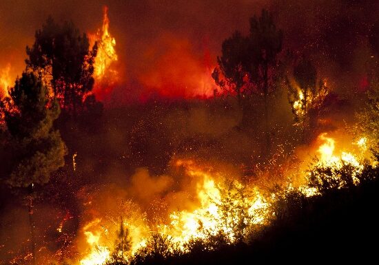 Over 100 wildfires are ravaging parts of the United States. It's only a matter of time before one of these could come to your neck of the woods. Are you prepared?