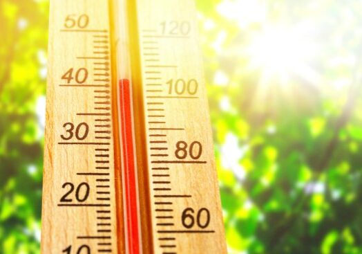 With the hottest days of summer quickly approaching for most of us, it's important to know how to stay cool, especially when you're working outside and doing those homestead chores. It's really easy to get hot but here are a few inexpensive ways to stay cool when the temperatures start to soar.