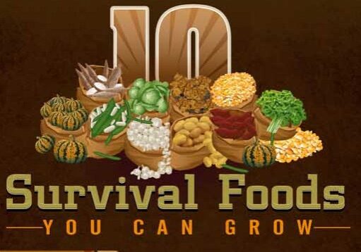 Survival+Foods+Small