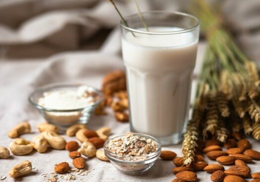 Preparing an alternative source for milk is actually quite easy to do (as long as you have a blender), and will provide essential vitamins, proteins, and enzymes to one's daily diet.