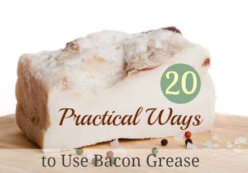 bacon grease