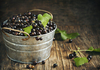 blackcurrants