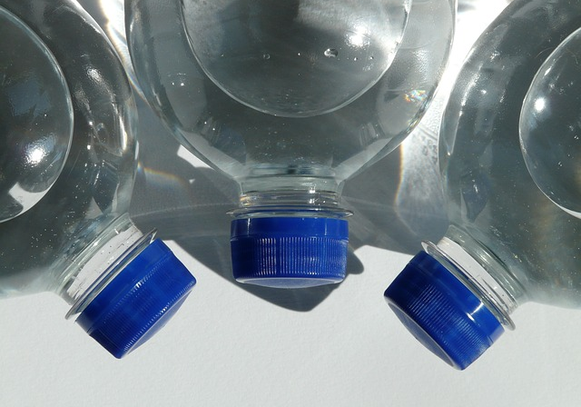 bpa water bottle