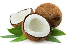 coconuts