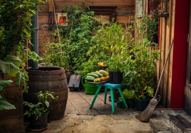 container garden