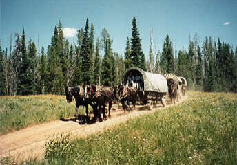 covered_wagon