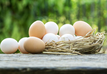 Chicken eggs and duck eggs are different. This article won't say one is better than the other, yet will celebrate the differences that should be noticed and how to alter your recipes if you do choose to use duck eggs instead.