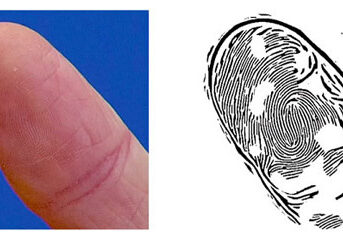 fingerprint-photo