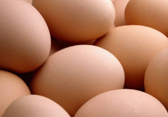 free_range_eggs