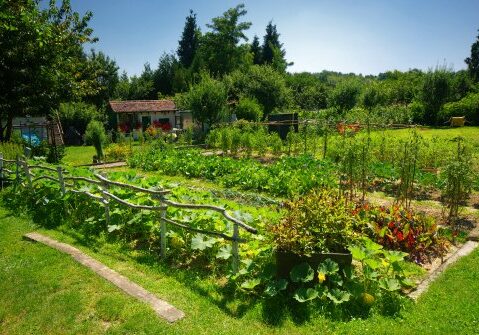 garden homestead