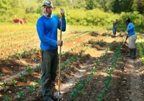 gardening survival