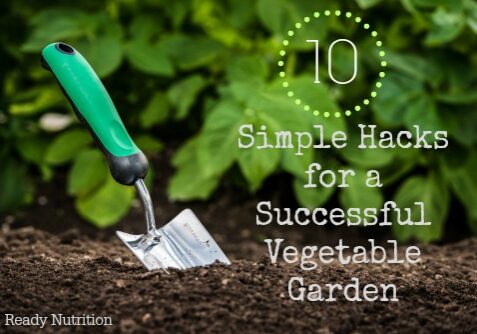 Gardening shovel in the soil in front of green leaves