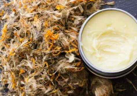 Arnica is an herbal medicine known for its healing properties. Whether your entire basement is filled with canned foods and enough water to survive the apocalypse or you simply keep a first aid kit in your car "just in case," you should consider adding arnica salve to your emergency kit.