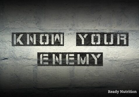 know your enemy