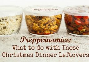 stir fry dinner meal or leftovers stored in glass containers