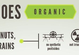 organic infographic