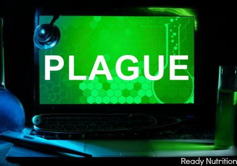 plague