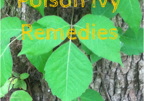 pondering-poison-ivy-remedies-and-itch