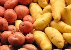 potatoes-300x175