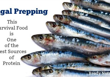 sardines shtf protein