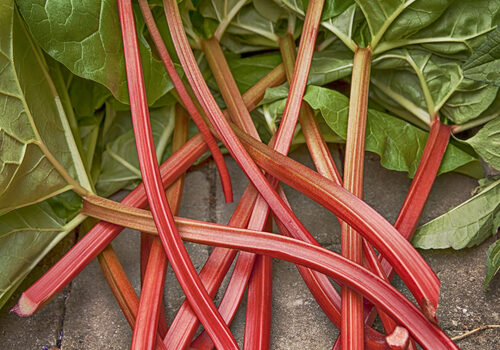 rhubarb: the good stalk