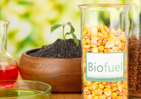 DIY Biofuel