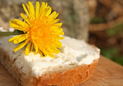 dandelion honey bread