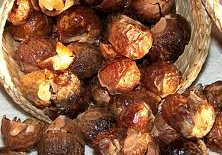 soapnuts