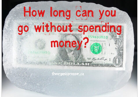 spending freeze