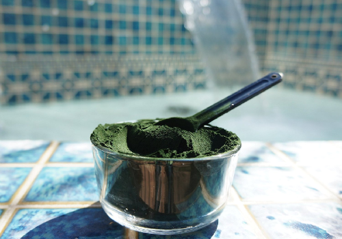 spirulina1