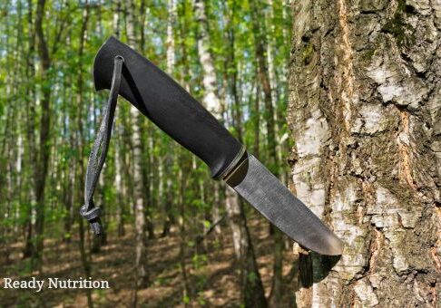 Knife stuck into a tree in forest