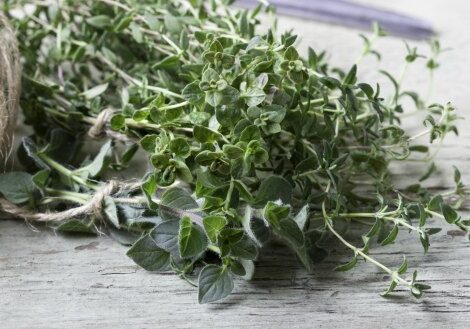 Thyme could be one of the most universal herbs to have for culinary and for medicinal uses. Here are 6 ways to make the most of this unassuming herb.