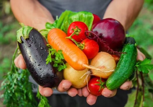 homemade vegetables in the hands of men. harvest. selective focus. summer.