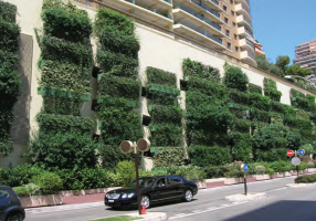 vertical garden