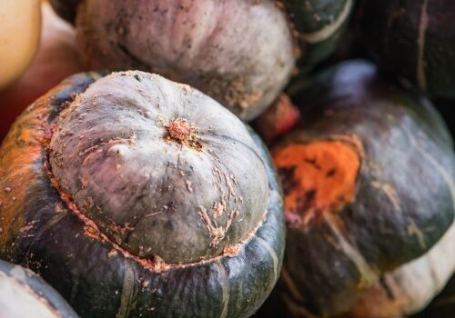 Fall brings forth an abundance of winter squash that can easily be incorporated into dishes. Here is all you need to know about harvest, storing and cooking with winter squashes. #ReadyNutrition